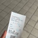 동백카 부분정비 | 여수해상케이블카 왕복 예약, 오동도 동백꽃 산책 후기