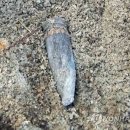 수인목장 이미지