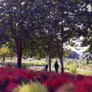 생동농장 이미지