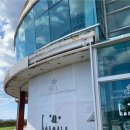 코우코알라 이미지