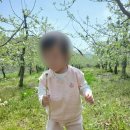 햇살자연어린이집 이미지