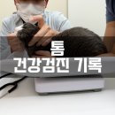 조이앤동물병원 이미지