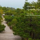 강릉 가볼만한곳 / 강릉 하슬라아트월드 / 강릉 커피거리 펜션 추천 / 강릉 헤렌하우스 후기
