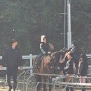 건영승마장 이미지