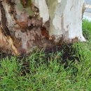 북부카센타 이미지