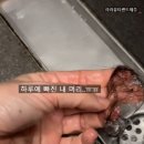 라라뷰티랜드제주