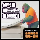 경도할인슈퍼 | [올라인] 체험하고 결정하는 셀렉트 매트리스 유로탑 호텔 침대 경도선택 슈퍼싱글 SS