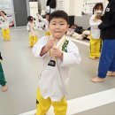강한아이태권도 이미지