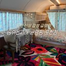 꽃마차 | 포천 신상 감성 글램핑 숨쉬는고래 글램핑 꽃마차 객실 후기