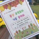 루체 어린이집 이미지