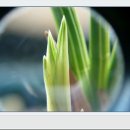 이유농장 이미지