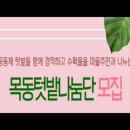 목동텃밭 이미지