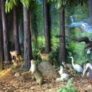 숲사랑홍보관 이미지