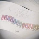 로즈네일 | 대전 서구 갈마동 가성비 자석젤 35000원 로즈네일 리지쌤 내돈내산 후기