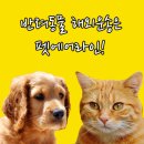 에어라인 이미지