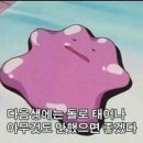 요야