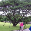 칠백의총 이미지