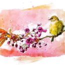 OK행정사 이미지