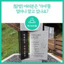 경상북도문화재연구원박물관 | [탐방] 여러분은 ‘가야’를 얼마나 알고 있나요?