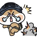여수마디정형외과의원 이미지