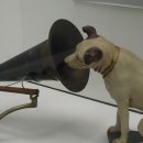 한국대중음악박물관 이미지