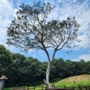 백송푸드 이미지