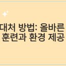 함께하는 동물병원 이미지