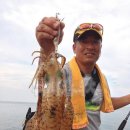 영진무역 이미지