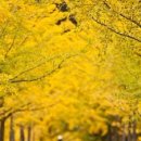 협성휴포레월성 이미지