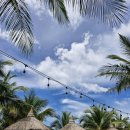 럭키카서비스 | 푸꾸옥 가족여행 후기｜아이와 함께 즐기는 빈펄사파리·혼똔섬,그랜드월드 등 가볼만한곳 추천