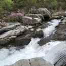 월성계곡한가족펜션 이미지