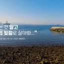 카페석포리 이미지