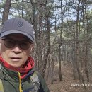 봉황사 이미지