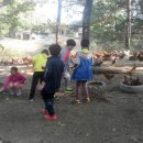 선녀농장 이미지