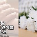 [부고 알림] 교구장 김선태 사도요한. 주교님 모친 박정규 세레나님 선종 이미지