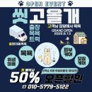 씻고올개 이미지