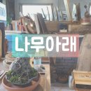 나무향기공방카페