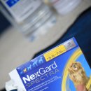 제중약국 이미지