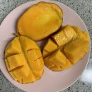 서울한스마일치과의원 이미지