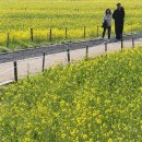 낙동강변14 이미지