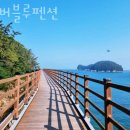 만리포몰디브 | 만리포펜션 에버블루펜션 가격 위치 이벤트