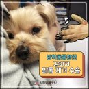 방학동물외과센터 이미지