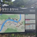 제73차 금산 월영산(출렁다리) 정기산행 24/11/03 이미지