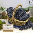 영동축산유통