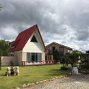 바다에걸린별 이미지