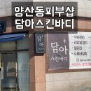 담아스킨바디 이미지