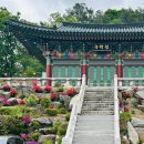 한국불교태고종 약수암 이미지