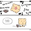 레더마인 | 여전히 열심히 입어보고 다니십니다 | 자라 소시오츠키 후기, 피팅 위시리스트