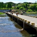 금강변 민물어죽마을 이미지