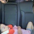 리안목장 이미지